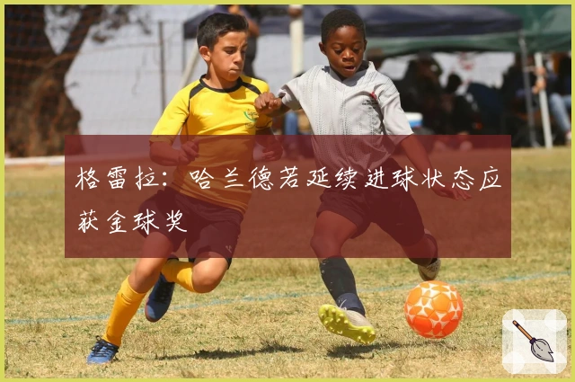 格雷拉：哈兰德若延续进球状态应获金球奖