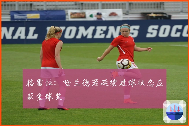 格雷拉：哈兰德若延续进球状态应获金球奖