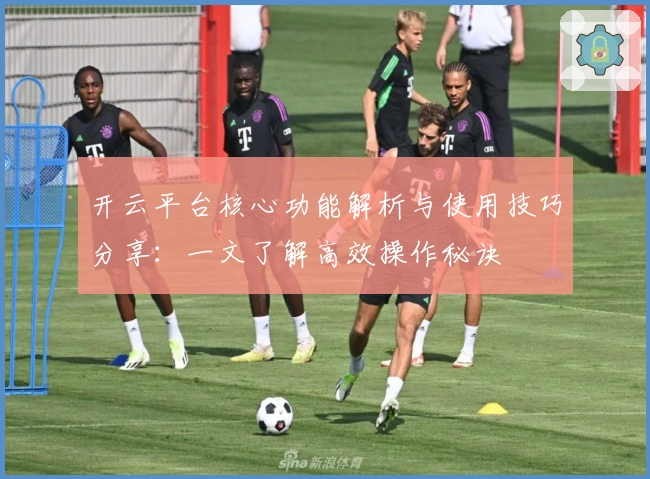 开云平台核心功能解析与使用技巧分享：一文了解高效操作秘诀