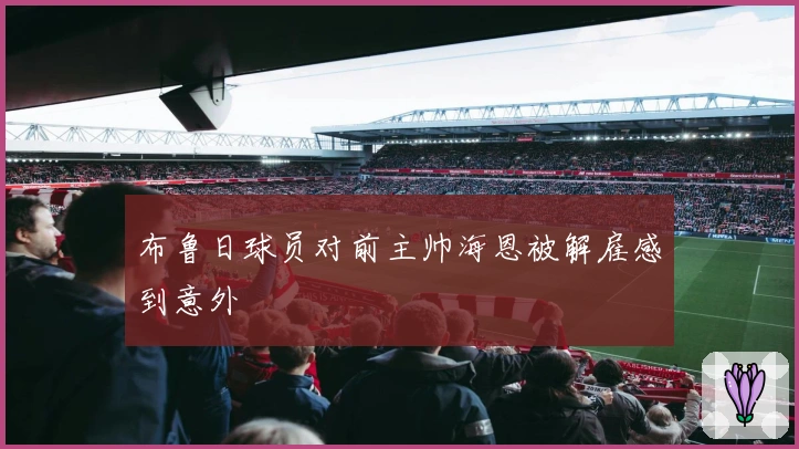 布鲁日球员对前主帅海恩被解雇感到意外