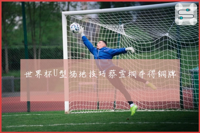 世界杯U型场地技巧蔡雪桐夺得铜牌