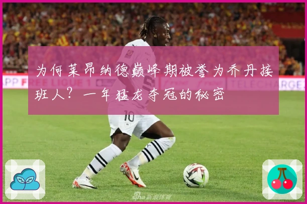 为何莱昂纳德巅峰期被誉为乔丹接班人？一年猛龙夺冠的秘密